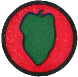 24th Infantry Division patch