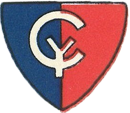 38th Infantry Division patch