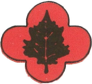 43rd Infantry Division patch