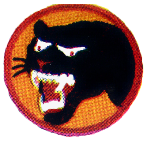 66th Infantry Division Patch