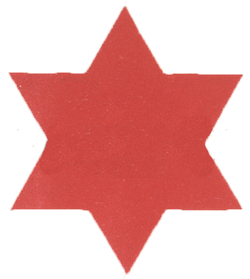 6th Infantry Division patch