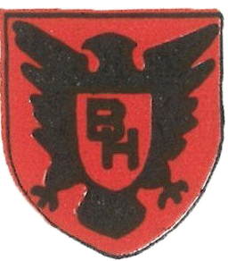 86th Infantry Division Patch