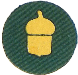 87th Infantry Division Patch
