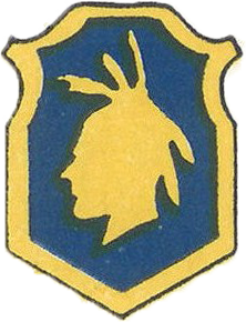 98th Infantry Division Patch